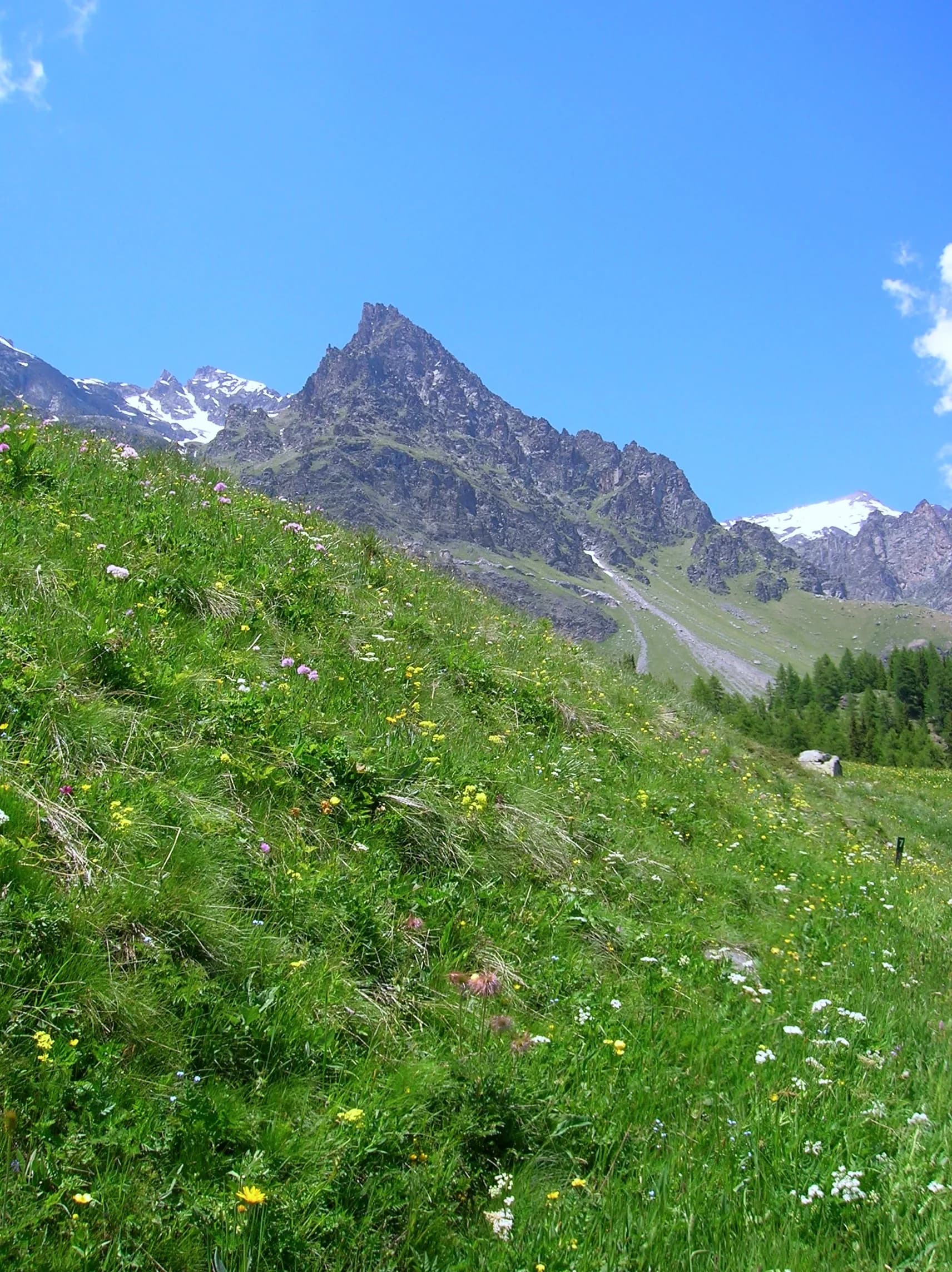 Haute Route 2 — Étape 7 : Rhêmes-Notre-Dame → Eaux-Rousses