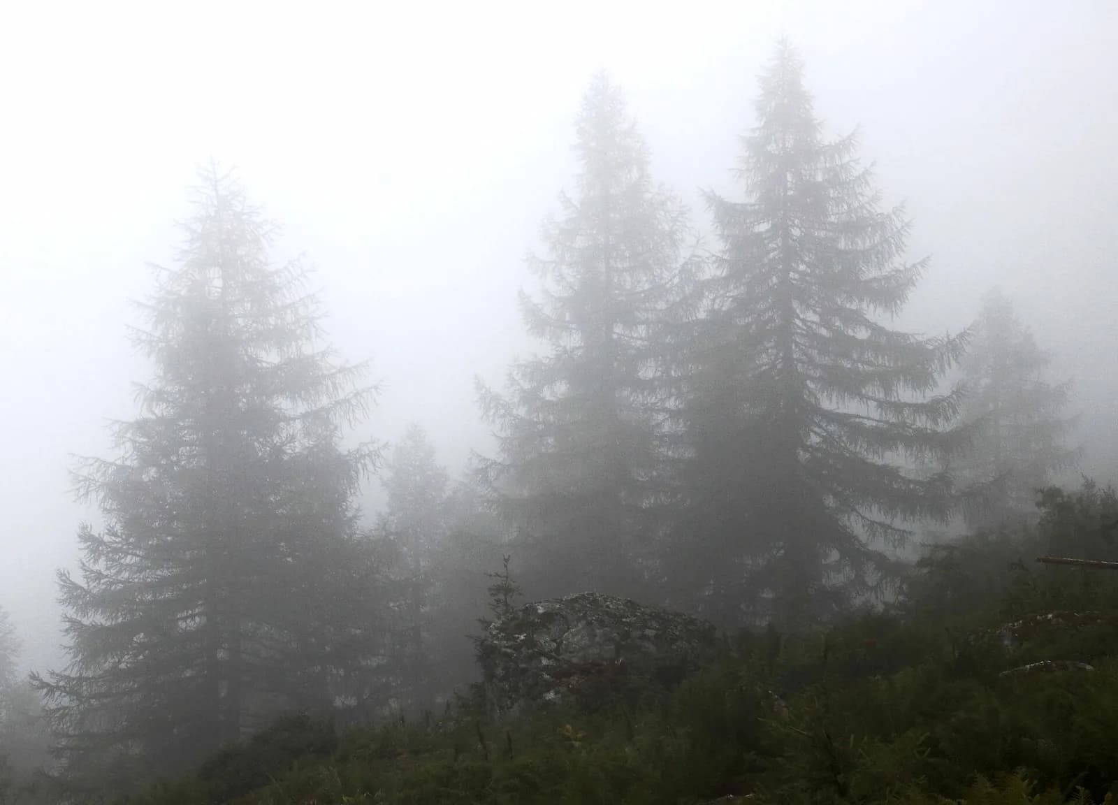 Tour du Mont Blanc — Étape 6: Champex-Lac → Trient