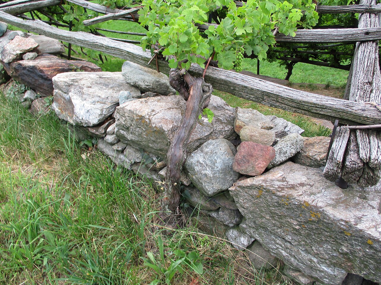 Mondial des Vins Extrêmes